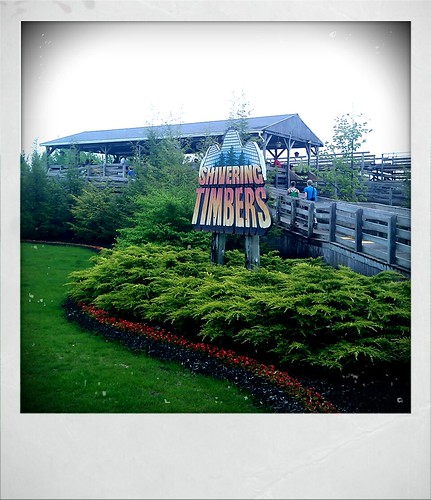 Shivering Timbers