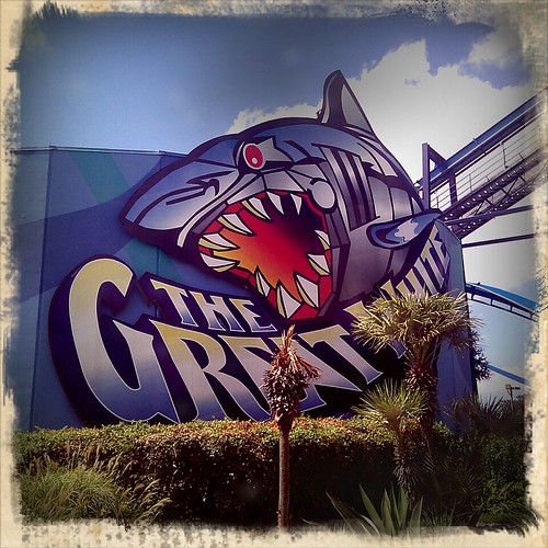 Great White Sea World San Antonio